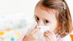 Как вылечить аллергию на пыль и пылевых клещей у ребенка