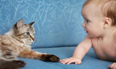 Как проявляется аллергия на кошек у детей и что делать